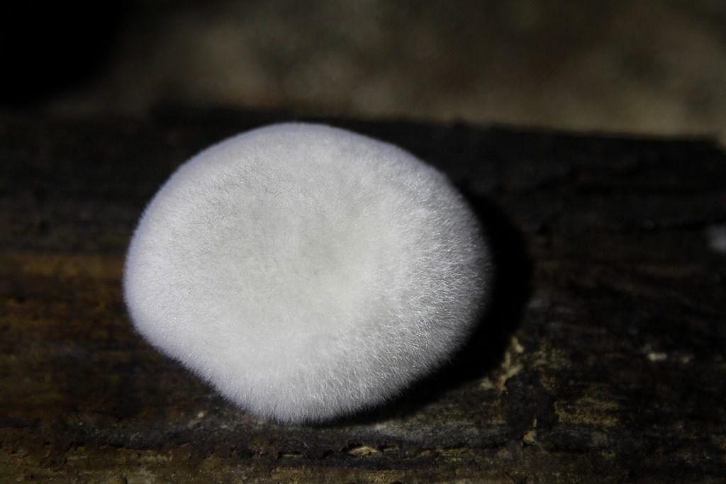 altbergbau details old mines details 019