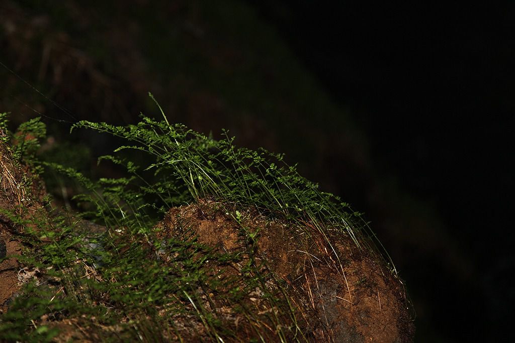 altbergbau details old mines details 049