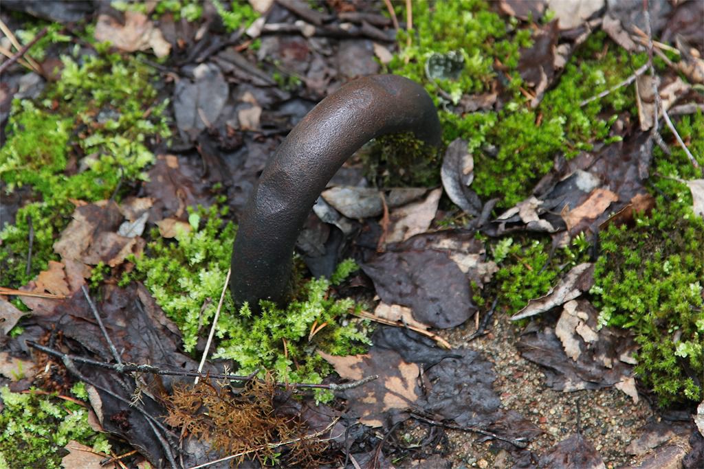 altbergbau details old mines details 102