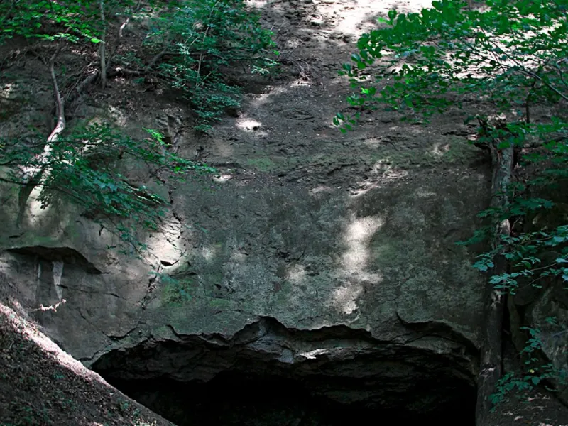 wolfshoehle 14