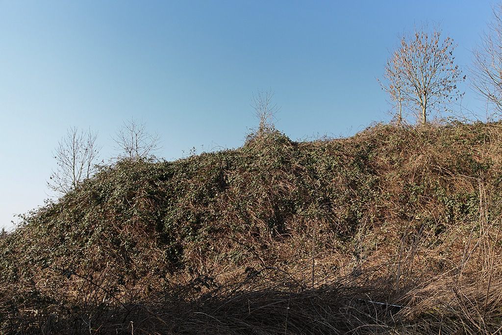 zeche kleeblatt bleibergwerk in solingen 03